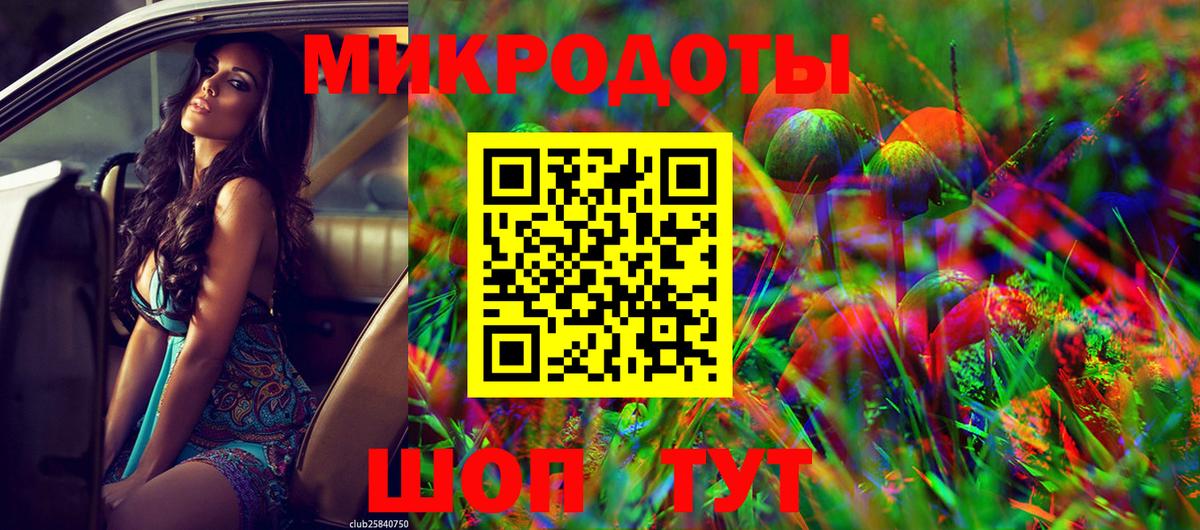 Галлюциногенные грибы Psilocybe Старый Оскол